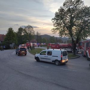 WaldbrandRein (16)